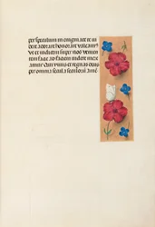 Stundenbuch der Königin Isabella der Katholischen, Königin von Spanien: Fol. 16r