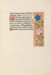 Stundenbuch der Königin Isabella der Katholischen, Königin von Spanien: Fol. 30r, um 1500