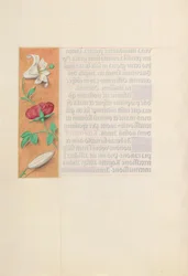 Stundenbuch der Königin Isabella der Katholischen, Königin von Spanien: Fol. 42v, um 1500