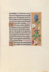 Stundenbuch der Königin Isabella der Katholischen, Königin von Spanien: Fol. 48r, um 1500