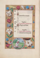 Stundenbuch der Königin Isabella der Katholischen, Königin von Spanien: Fol. 7v, Juni, um 1500