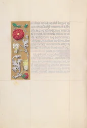 Stundenbuch der Königin Isabella der Katholischen, Königin von Spanien: Fol. 86v, ca. 1500