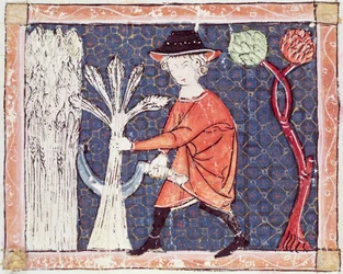 Fol.58v Juli: Die Ernte