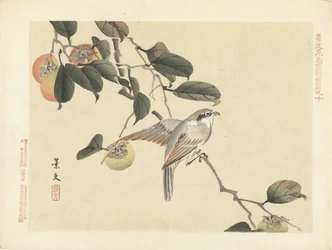 Vogel und Kaki (Blumen- und Vogelskizzen von Keibun - Teil eins)
