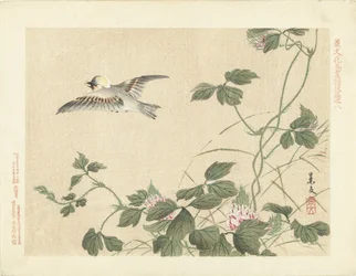 Wegfliegender Vogel bei Kletterpflanze mit rosa Blumen