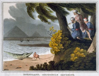 Ägypter, Krokodilfang, 1813