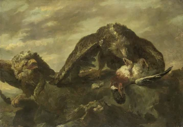 Adler auf den Klippen