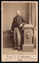 Porträt von Othniel Charles Marsh 1831-1879, 1866
