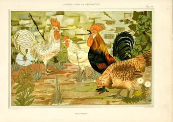 Naturgetreue Darstellung von Hühnern und Hähnen