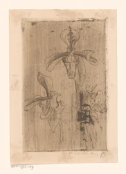 Zwei Orchideen und ein Wagen am Strand