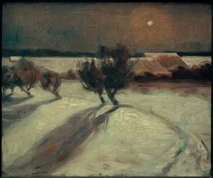 Schneelandschaft im Mondlicht