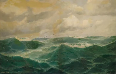 Möwen über stürmischer See