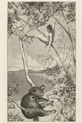 Bär und Elfe