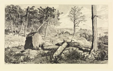 Simplicius in der Wald-Einöde (Intermezzi, Opus IV, Blatt 10)