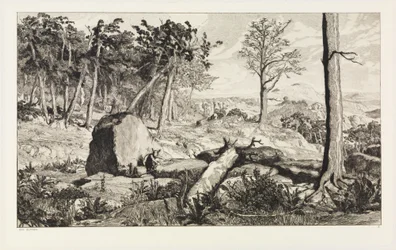 Simplicius in der Wald-Einöde (Intermezzi, Opus IV, Blatt 10)