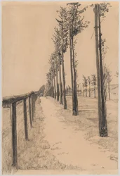 Baumreihe entlang der Straße