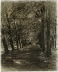 Baumallee