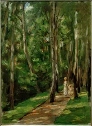 Birkenweg in Wannsee (nach Westen)