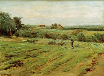 Erntefeld – Kohlfeld (?)