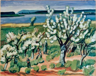 Baumblüte am See
