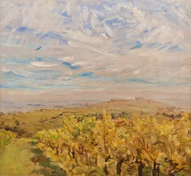 Früher Herbst in der Pfalz. Weinberge bei Neukastel