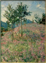 Gebirgslandschaft mit Phacelienfeld