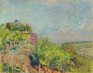 Weinlese bei Neukastel