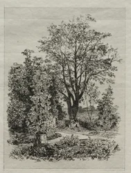 In meinem Bordeaux-Garten