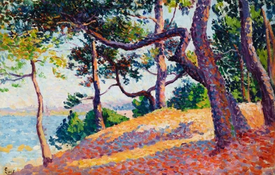 Landschaft in Saint-Tropez