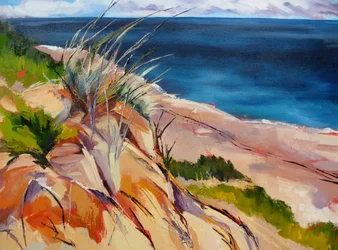 Strandgras und Dünen
