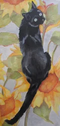 Schwarze Katze zwischen Sonnenblumen