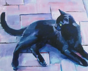 Schwarze Katze auf violettem Boden