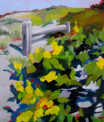 Sonniger Pfad mit gelben Blumen