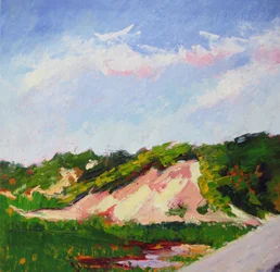 Lebendige Dünenlandschaft