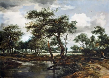 Ein Teich im Wald, 1668