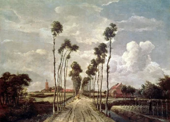 Die Allee in Middelharnis