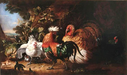 Oiseaux de basse-cour