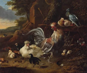 Hahn, Hennen und anderes Geflügel im Hof