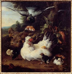 Eine Henne und ihre Küken, 17. Jahrhundert. Caen, Museum der Schönen Künste