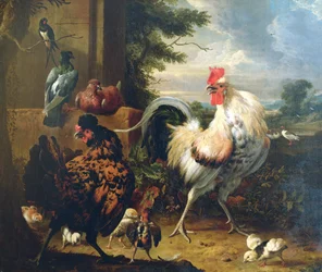 Hofgeflügel