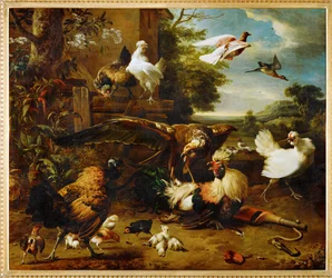 Der Habicht im Hühnerhof
