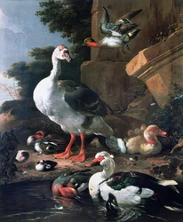 Wasservögel in einer klassischen Landschaft, 17. Jahrhundert