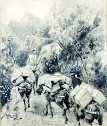 Trekking, Maultierwarenzug von Cabello nach Valencia