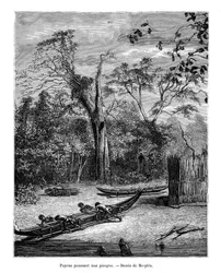 Fischer-Einbaum, Papua, 19. Jahrhundert