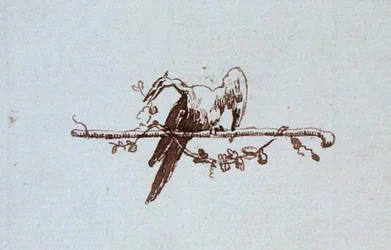 Zeichnung aus Michael Faradays Sammelalbum