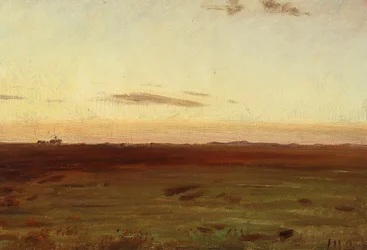 Blick auf Wiese und Dünen in der Abendsonne