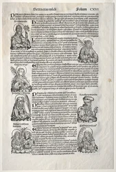 Nürnberger Chronik, 1493.