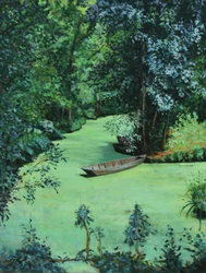 Les Marais Poitevin