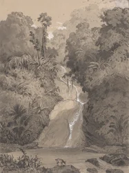 Wasserfall bei St. Anns