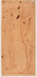 Beinstudie